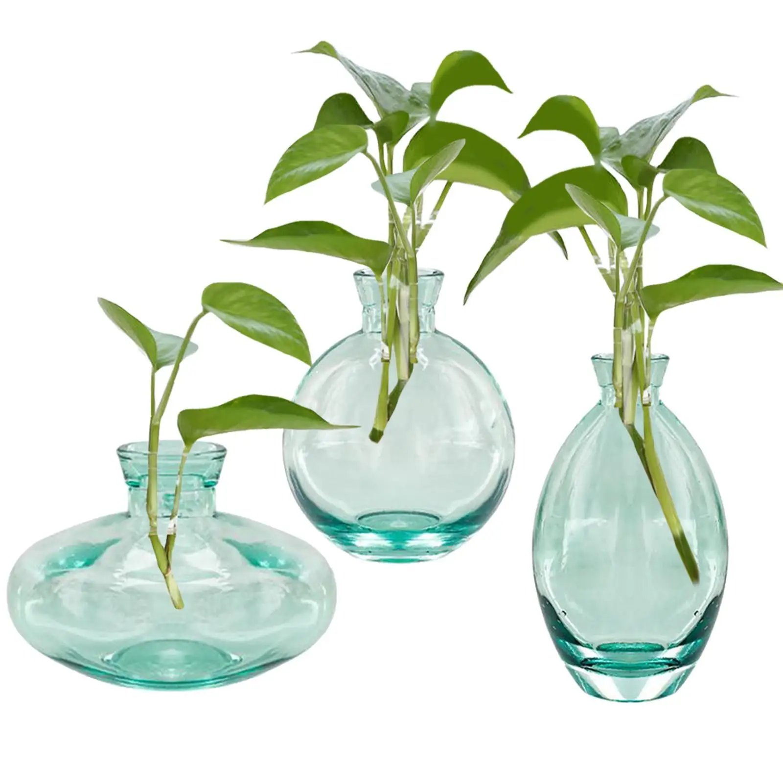 

3x Glass Vase Small Hydroponic Pots Transparent Green Unique Craft Glass Jars Home Decor Growing Vases for Women Plant Lover