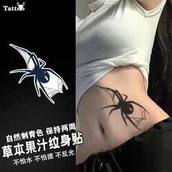 Sexy Tattoo Stickers for Woman Temporary Fake Goth Tattoos Waterproof Heart Tatto Lasting Spider Art Cool Herbal Juice Tattoo