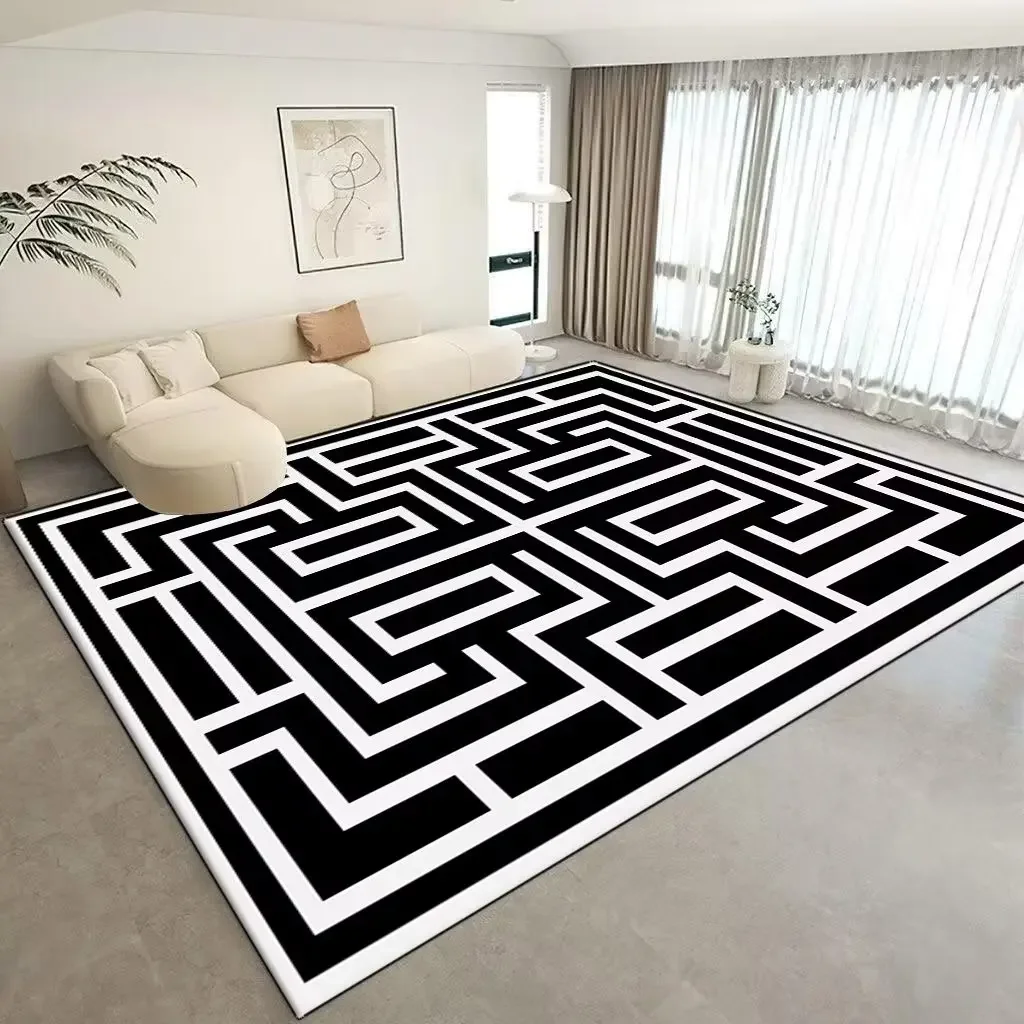 Modern Simple Carpet Decoration Home Washable Luxurious Rug Living Room Large Carpets Black White Room Decor Area Mat Non-slip