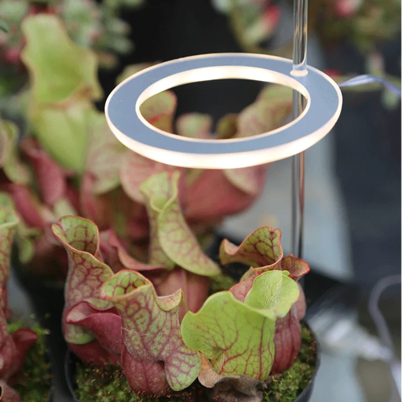 Lampe Horticole de Croissance LED pour Plantes d\'Nik, Éclairage à Trois Anneaux, USB, pour Semis, Fleurs et Succulentes