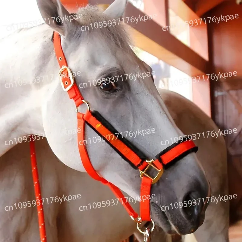 bridle-cage-cover-anti-wear-lead-horse-horse-training-pet-supplies-harness-equestrian