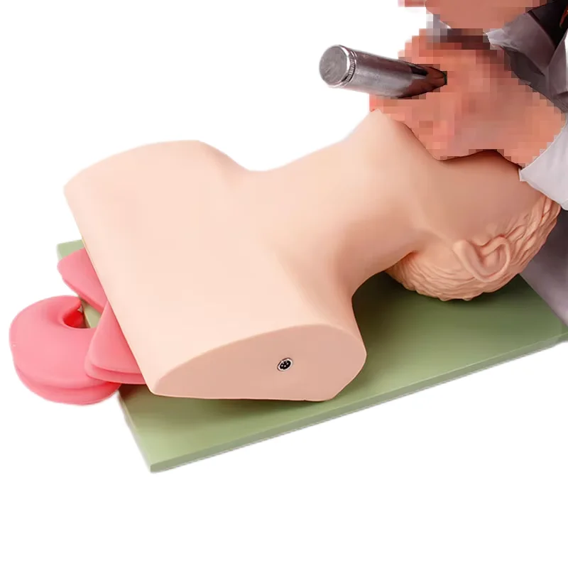 DARHMMY Adult Electronic Human Tracheal Training Model Endotracheal Intubation Training Manikin with Tooth Pressure Alarm