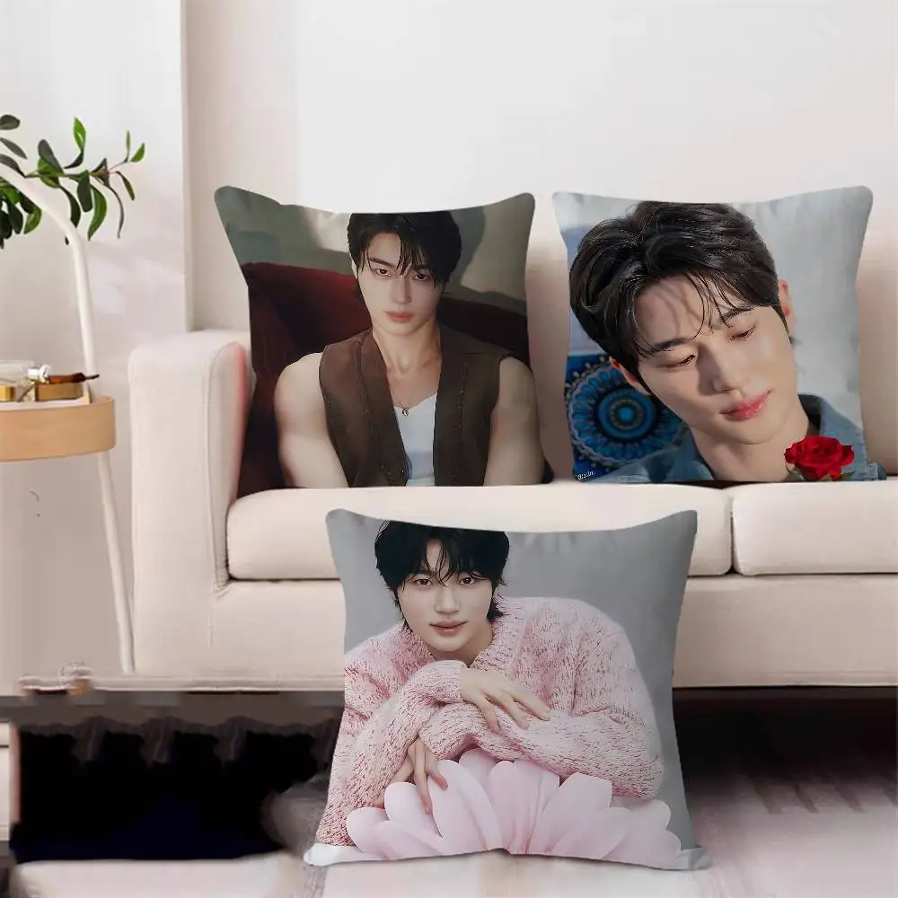 

Byeon Wooseok Korea Singer Pillow Cover Sofa Cushion Cover Home Room Decoration Children Gift