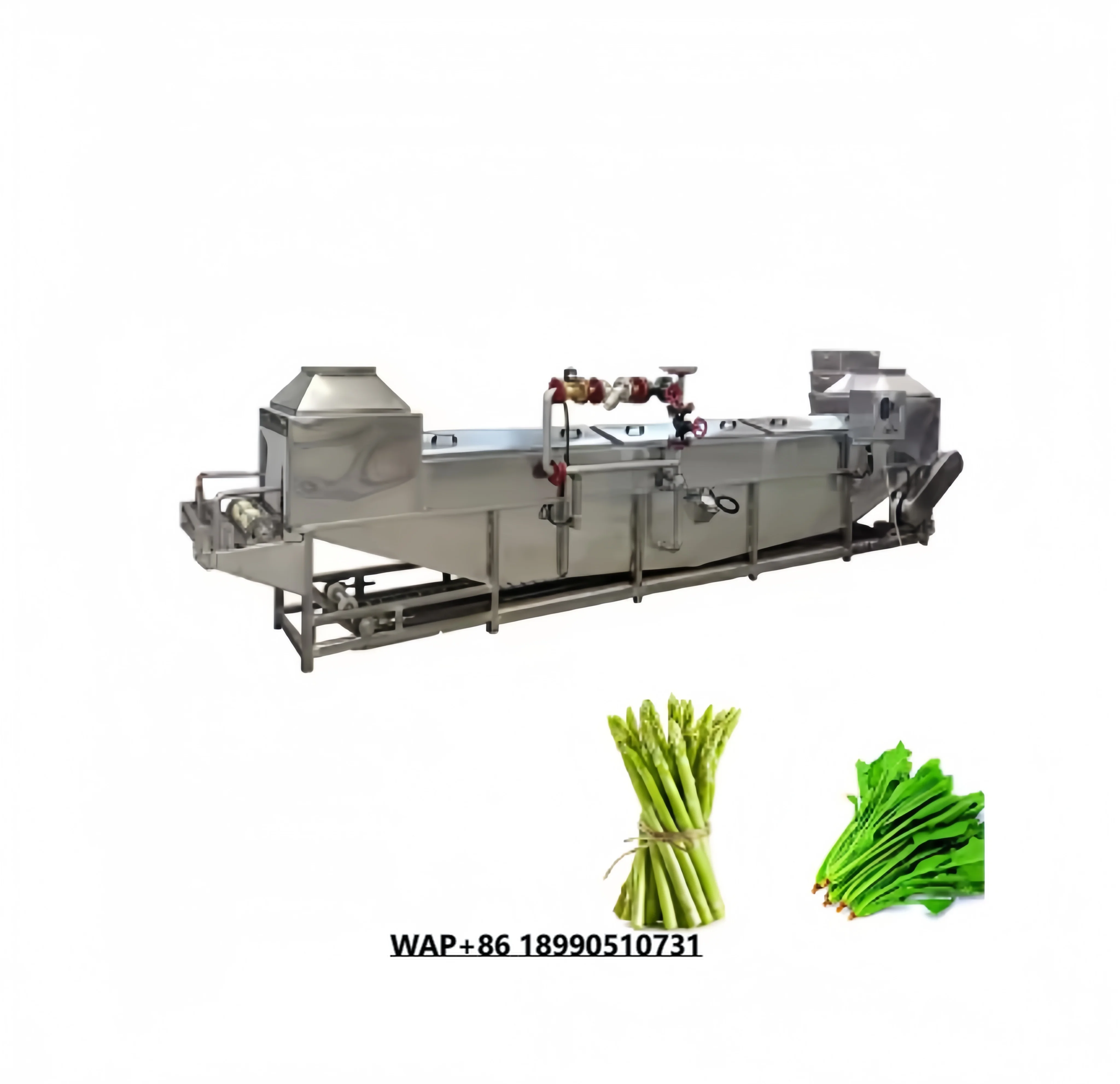 سعر المصنع آلة الكي التجارية لتنظيف وتمييع الفواكه والخضروات عالية الجودة