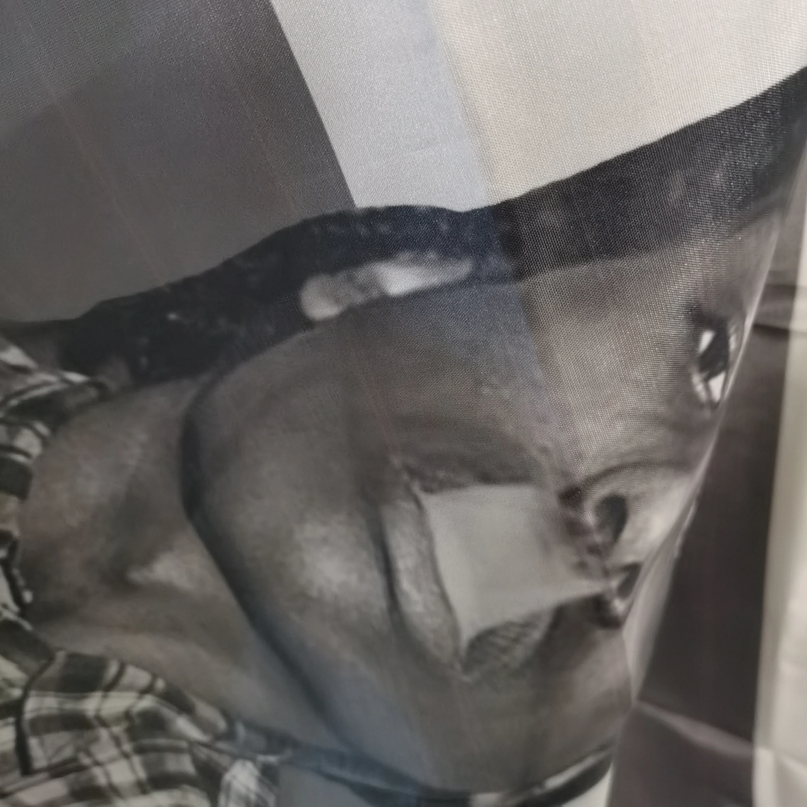 Asap Rockys العلم 3x5ft 2x3ft مغني الراب ديكور غرفة الجمالية ألبوم الموسيقى ملصقات فنية معلقة غرفة نوم الحفل خلفية المشجعين هدية