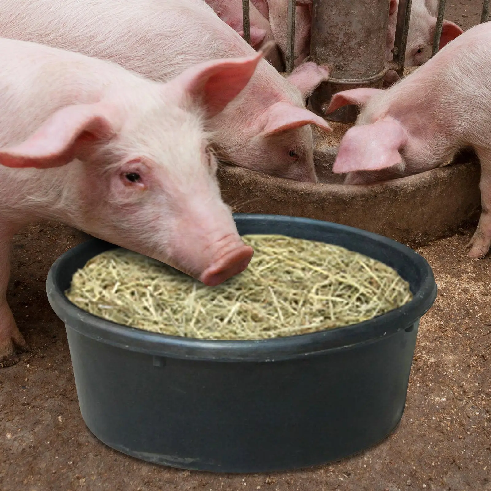 تغذية المقالي 4L البلاستيك الحصان المغذية الكلب السلطانية خنزير المغذية الماعز الدجاج السماد حمام الحاويات كبيرة فائدة تغذية دلو تغذية عموم