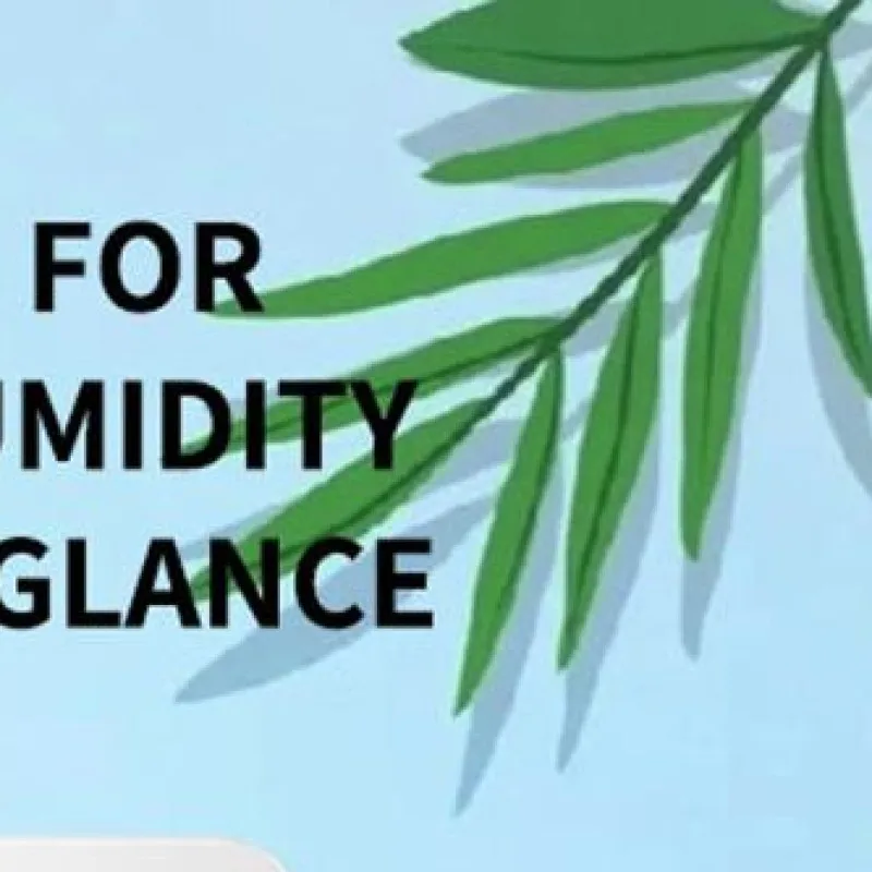 

Air Quality Detector TVOC Temperature Humidity CO CO2 Detection Portable Smart Air Quality Tester for Home Office