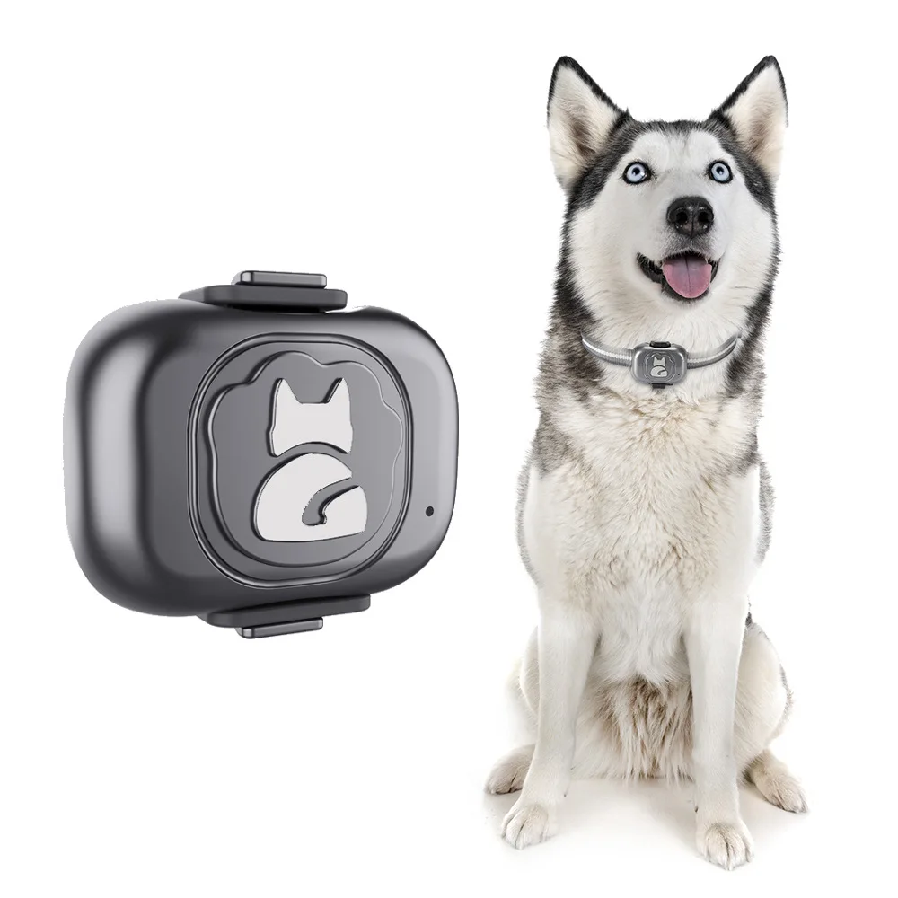 

G16 Back Pet GPS Tracker Smart Collar IP67 Waterproof Dog and Cat Anti Loss Device