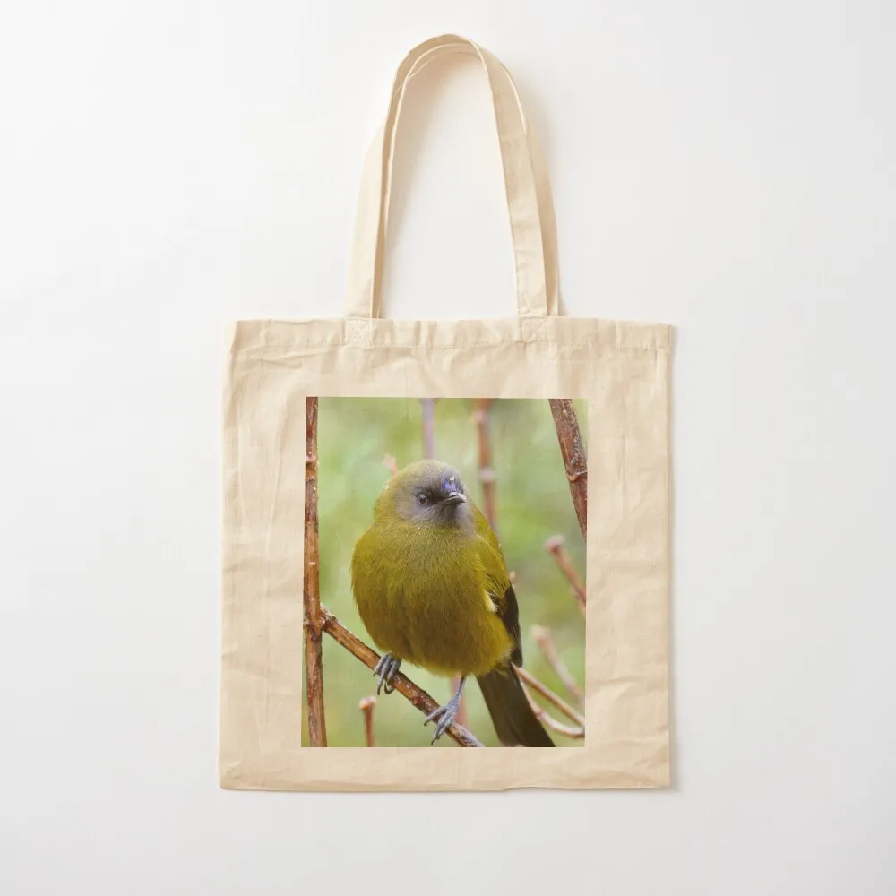 Bellbird - Southland NZ Tote Bag Women's shopper bag tote bag screen Women's shopper supermarket folding Canvas Tote