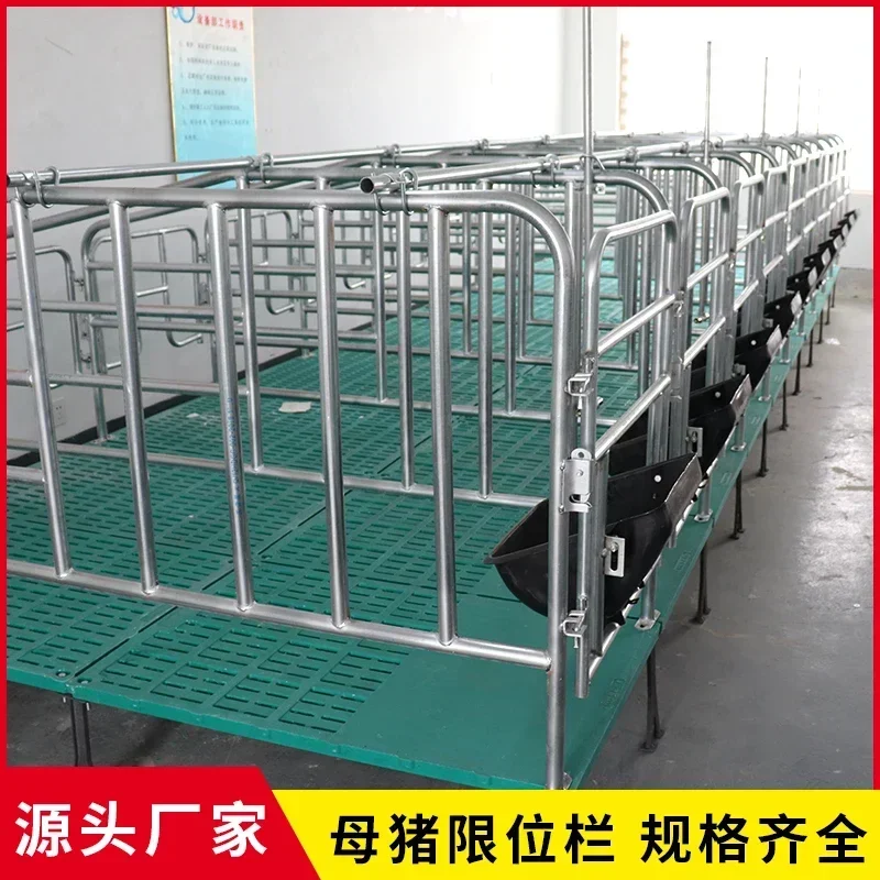 5-bit Sow Restriction Pen With Manure Plate Floor-mounted Simple Farrowing PenThickened Hot-dip Galvanised Breeding Equipment