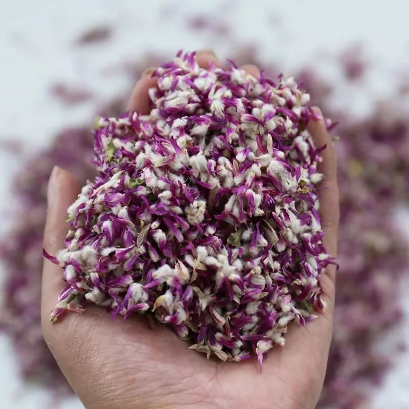 Natural Purple Globe Amaranth  - Candle Making And Perfume ulasan dan harga