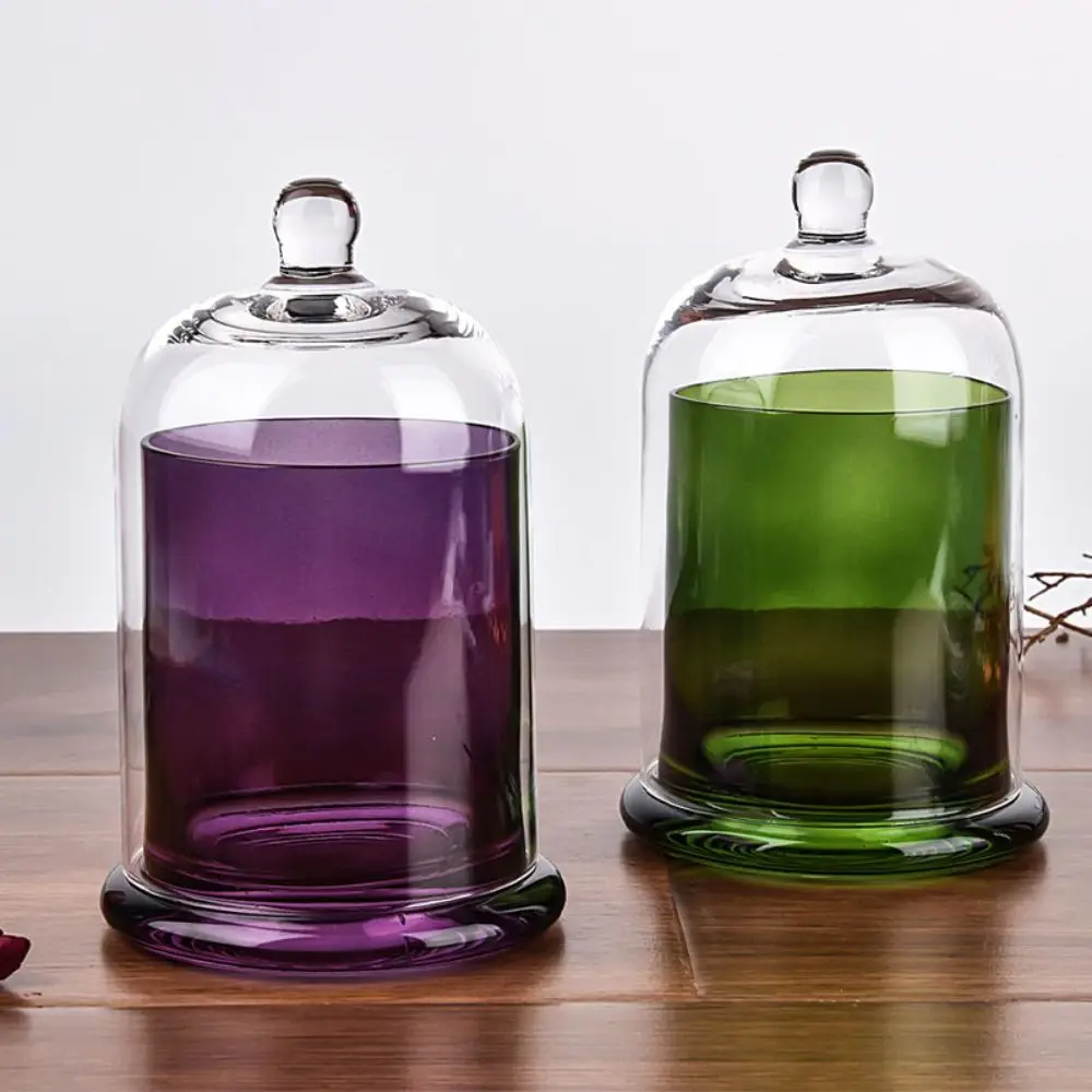 Glass Glass Storage Jar 8 Colors Eternal Life Flower Aromatherapy Candle Glass Cover Food Plant Display Candle Glass Jar