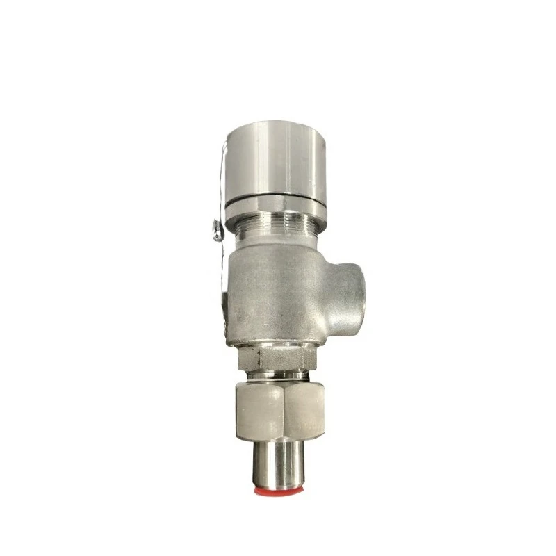 For Spring-enclosed Externally Threaded Safety Valve Type A21W-100P, Stainless Steel Valve