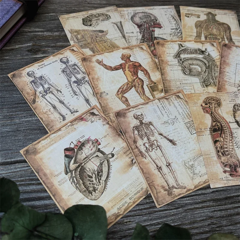 10 Pcs Vintage Human Anatomy Craft Paper Junk Journal Ephemera Antique Medical Photo DIY Album Scrapbooking Material Paper Pack