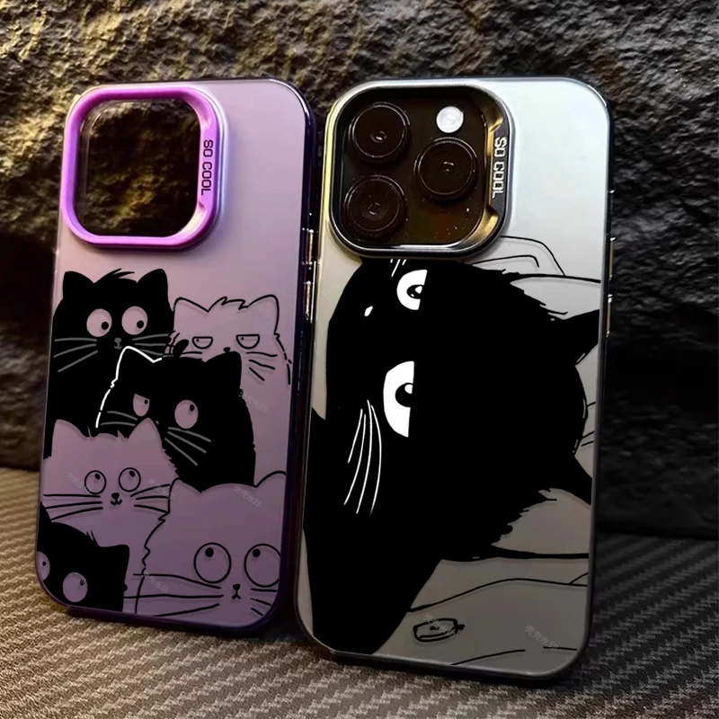 Black Handsome Kitt…