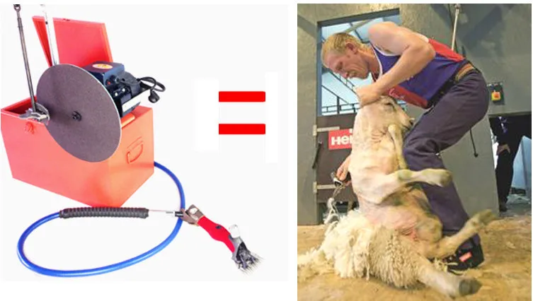 Professional Electric Sheep Clipper With Flexible Shaft 220V Shearing Grinding Machine For Farm Use New Condition