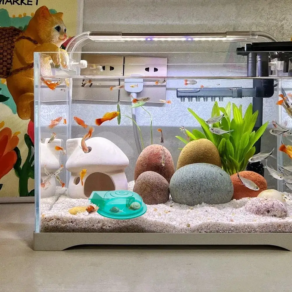 Lightweight Snail C…