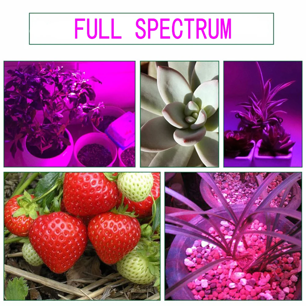 

50W Full Spectrum IP67 Waterproof Plant Flower Vegetable COB LED Grow Light