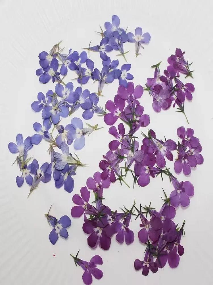 120 Stück/1,5 cm, natürliche kleine Blumen-Tropfen-Kleberaufkleber für Handyhüllen, Lesezeichen, Fotorahmen, Dekoration, Schönheits- und Nagelverzierungsmaterial, Herbstdeko – Detail 2