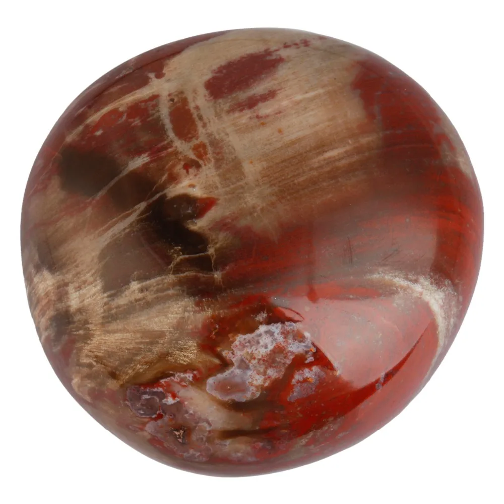 TUMBEELLUWA Natural Petrified Wood Palm Stone Crystal Healing Gem stone Pebble Worry Therapy Irregular Shape Decoration