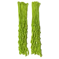 Neon Green