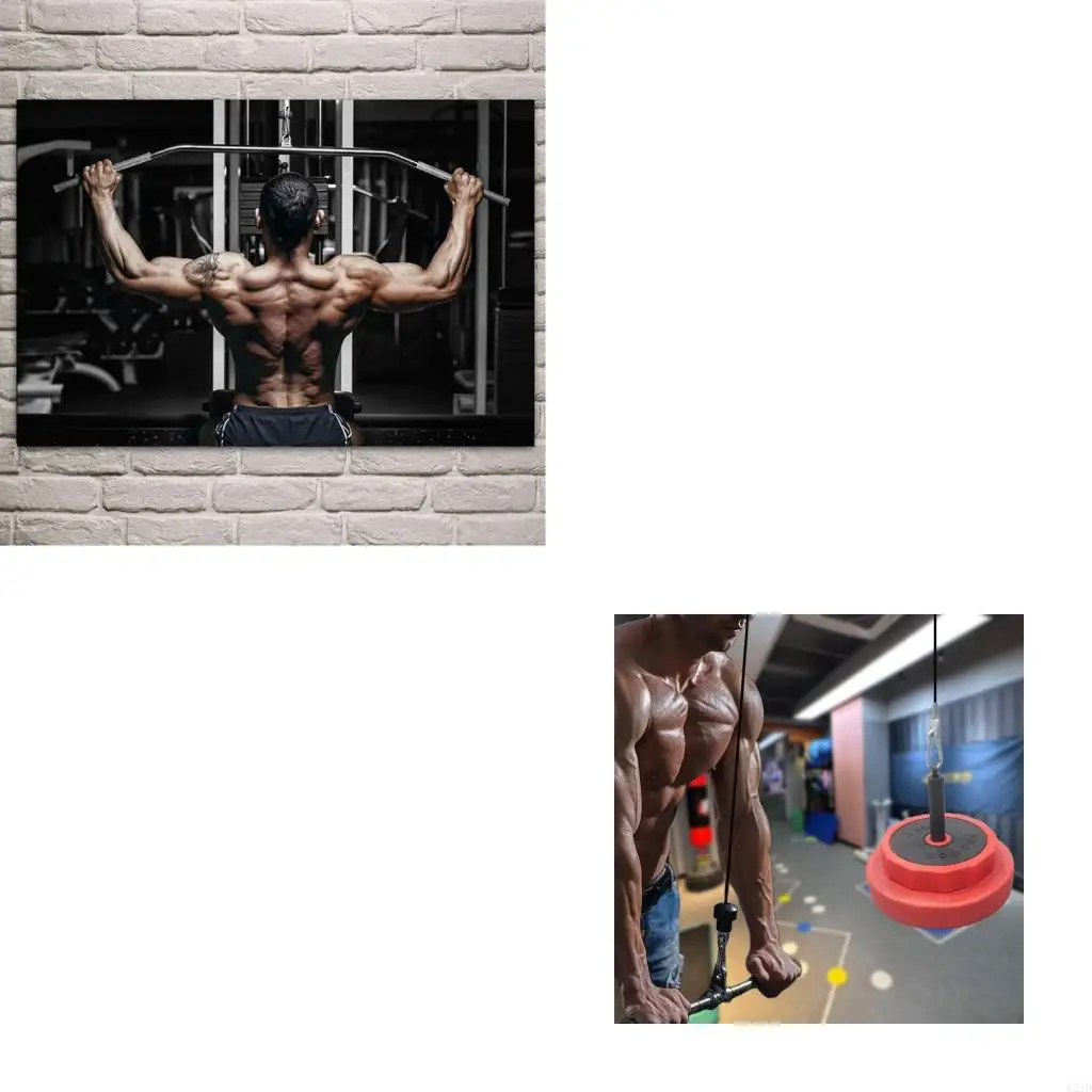 

Multifunctional Gym Pulley 4 Level Resistance Adjustment Nonslip Grip Fitness Equipment For Various Fitness Level