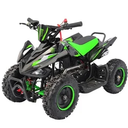 49CC 2-stroke ATV Air-cooled, Single Cyclinder, Mini Quad Bike Electric Start Dsic