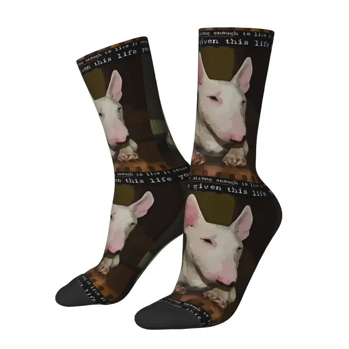 Funny Crazy Sock for Men Humor Vintage Bull Terrier Pet Dog Quality Pattern Printed Crew Sock Novelty Gift