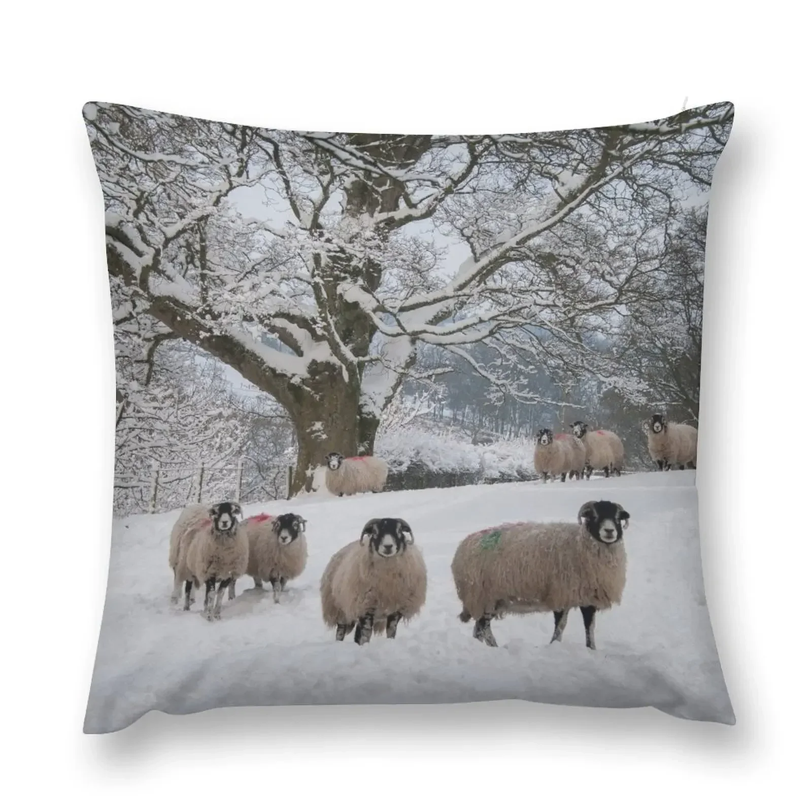 

Swaledale sheep in snow Throw Pillow Sofa Pillow Cover Embroidered Cushion Cover pillow