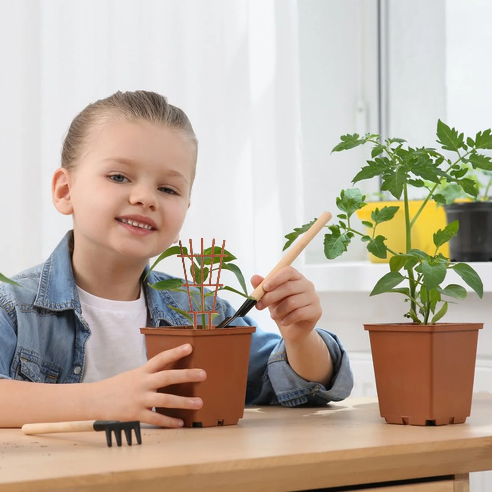 

Plants Stand Houseplant Accessories Dragon Fruit Trellis Bamboo for Climbing Arch Indoor Garden Trellises