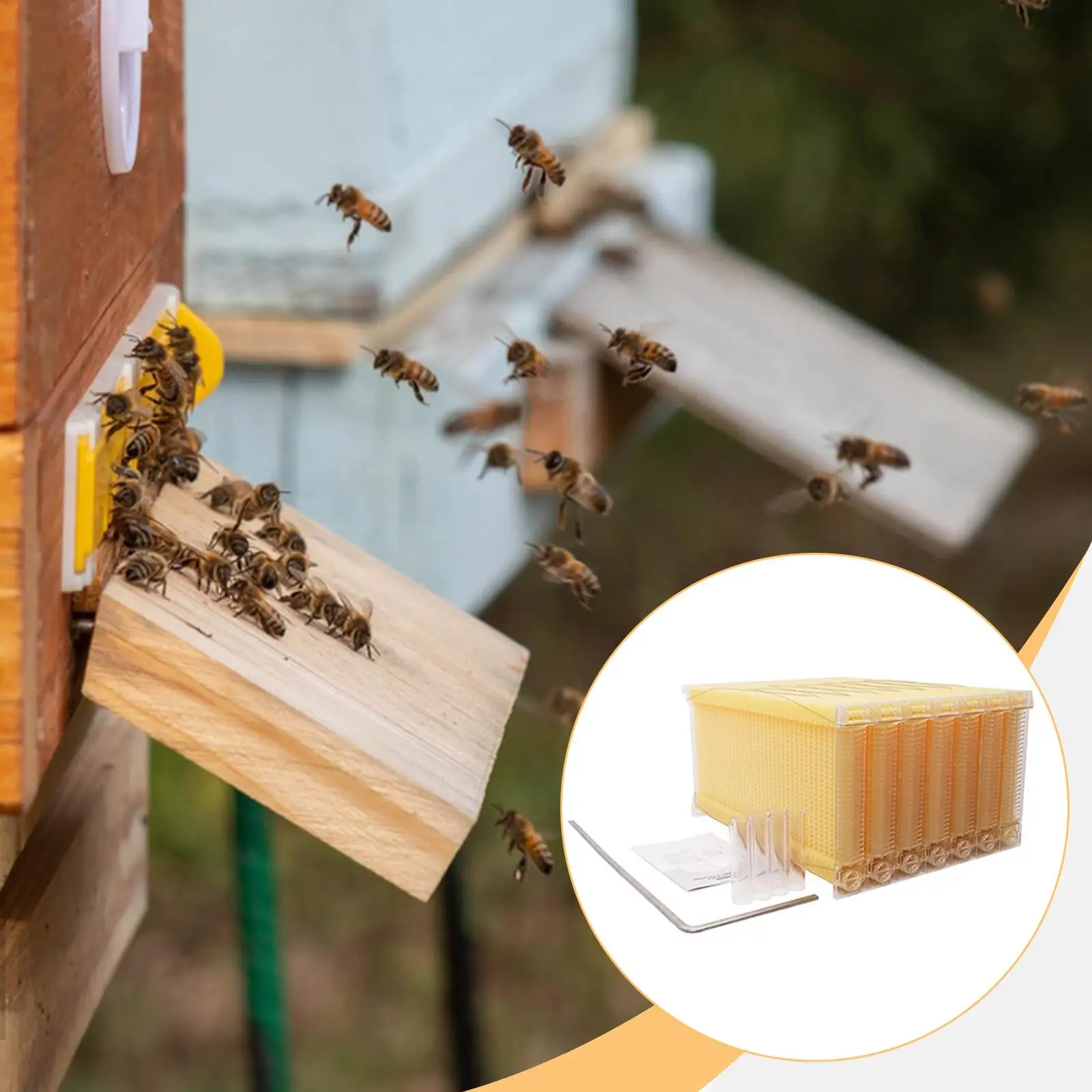 مجموعة أجزاء استخلاص العسل ذات التدفق التلقائي المكونة من 7 قطع، احترافية سهلة الاستخدام #1