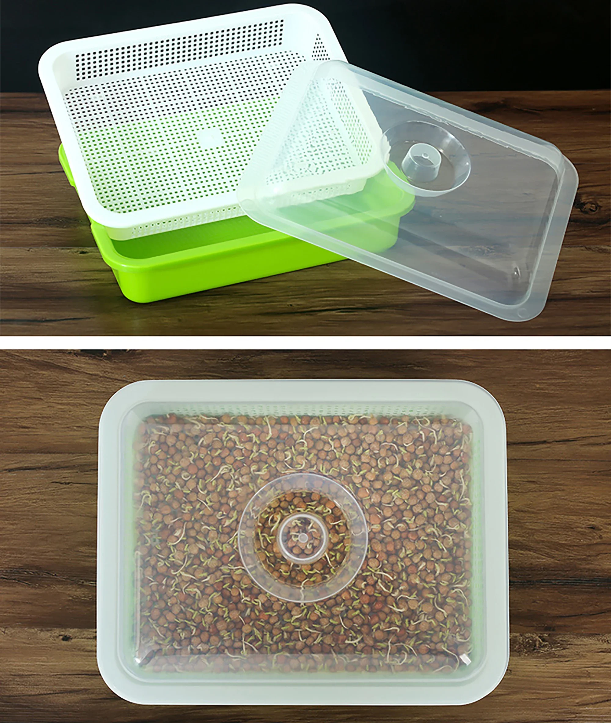 1 مجموعة تنبت طبق تزايد وعاء المائية الشتلات الخضار الفاصوليا البذر وعاء النباتات المنزلية إنبات صينية الحضانة مع غطاء