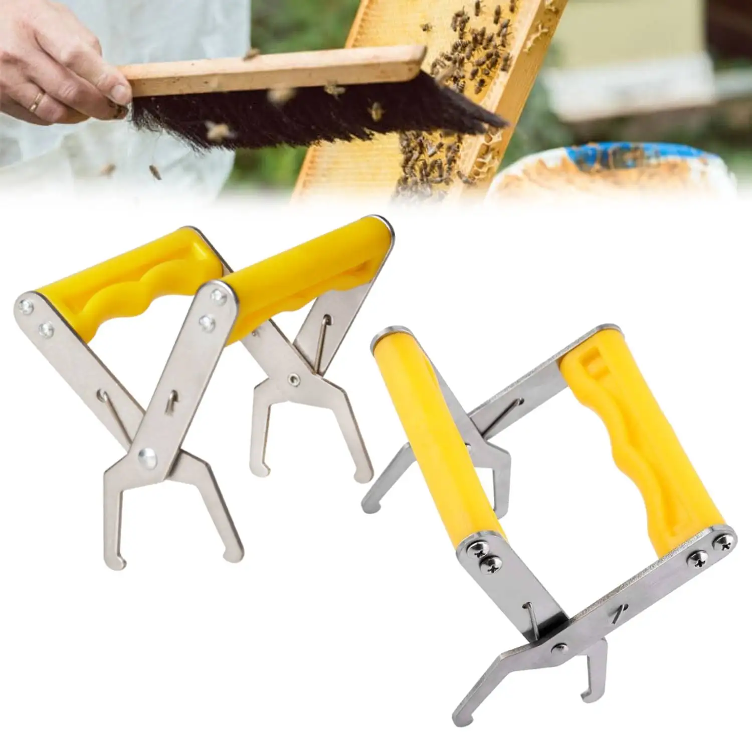 2 pinces à cadre en acier inoxydable avec poignée en plastique, équipement d'apiculture, support de cadre d'abeille