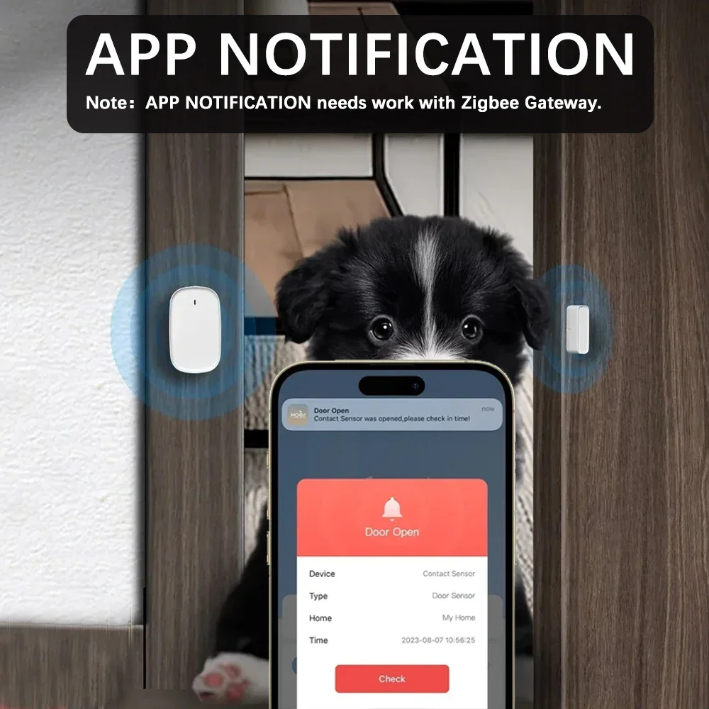 Zigéquation-Capteur intelligent de détection de porte et fenêtre, Zigéquation gère les capteurs, Tuya Smartl Life App, Tuya Home, télécommande avec Alexa, Google Home