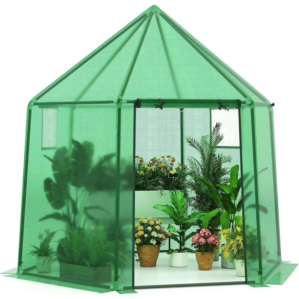 

Portable Outdoor Greenhouse, 6.5x5.6x6.2ft, PE Cover, Rust-Resistant Metal Frame, Roll-up Door, Windows, Ideal for Garden, Patio