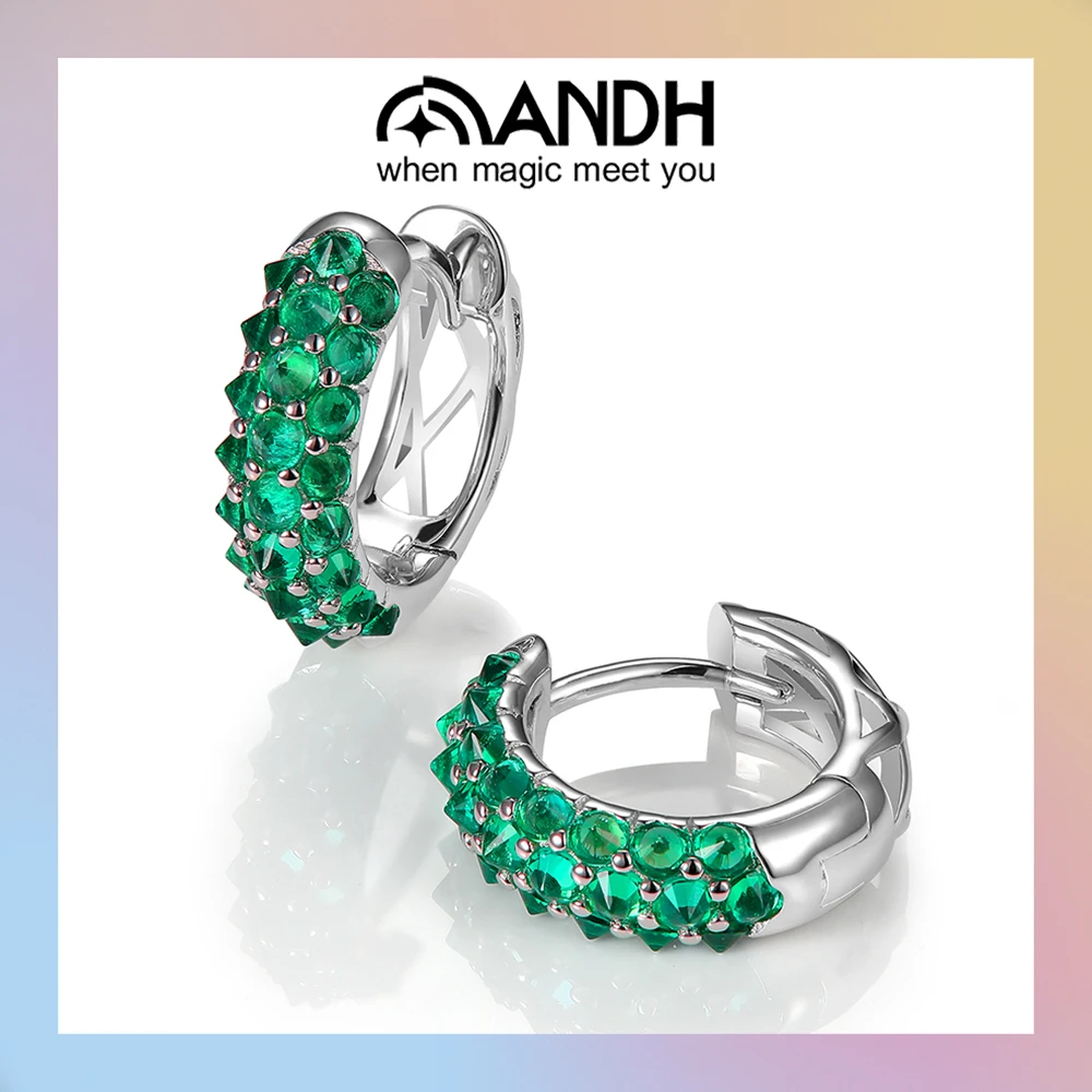 

ANDH 925 Sterling Silver Moissanite Wide Hoop Earrings for Man Women Laboratory Ruby Gemstones Diamond Quality Luxury Jewelry