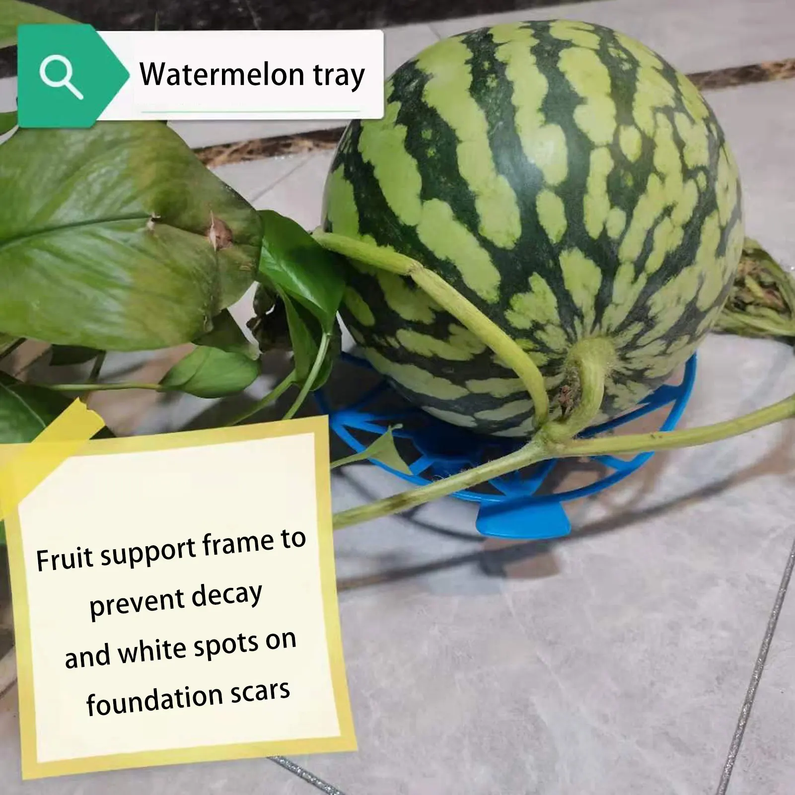 Watermelon Support Lift Stand Anti-corrosion Fruits Support Tray for Garden Farm Fruit Melon