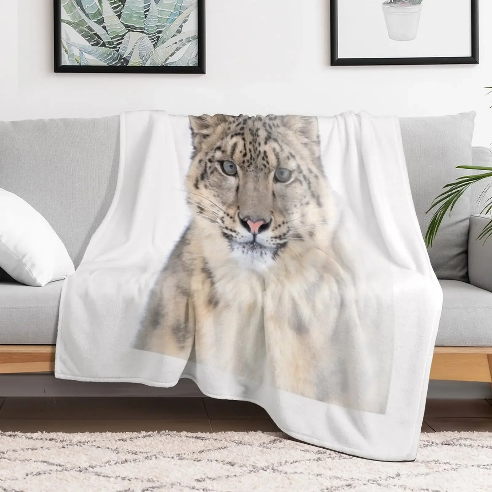 Portrait of a Snow Leopard Throw Blanket Color Fast Cozy Throw Blanket
