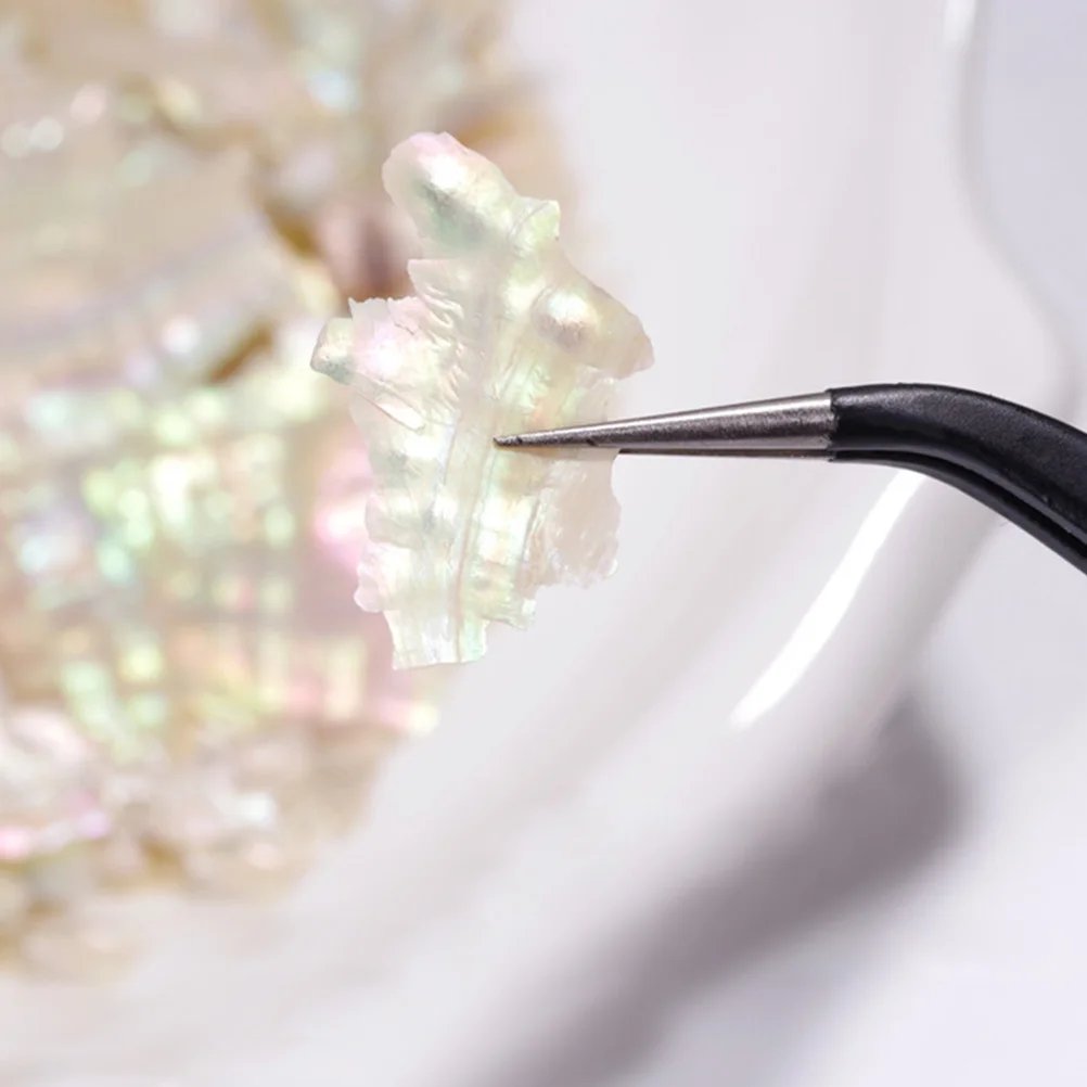 

12 Color Nail Art Shell Source Pieces Stylish Manicure Tools Decoration Set Storage Box for Nails Phones Home Nail Art Tools