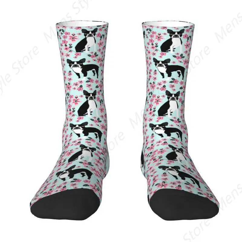 Boston Terrier Cherry Blossom Dog Dress Socks Mens Womens Warm Fashion Novelty Breed Pet Art Portrait Crew Socks