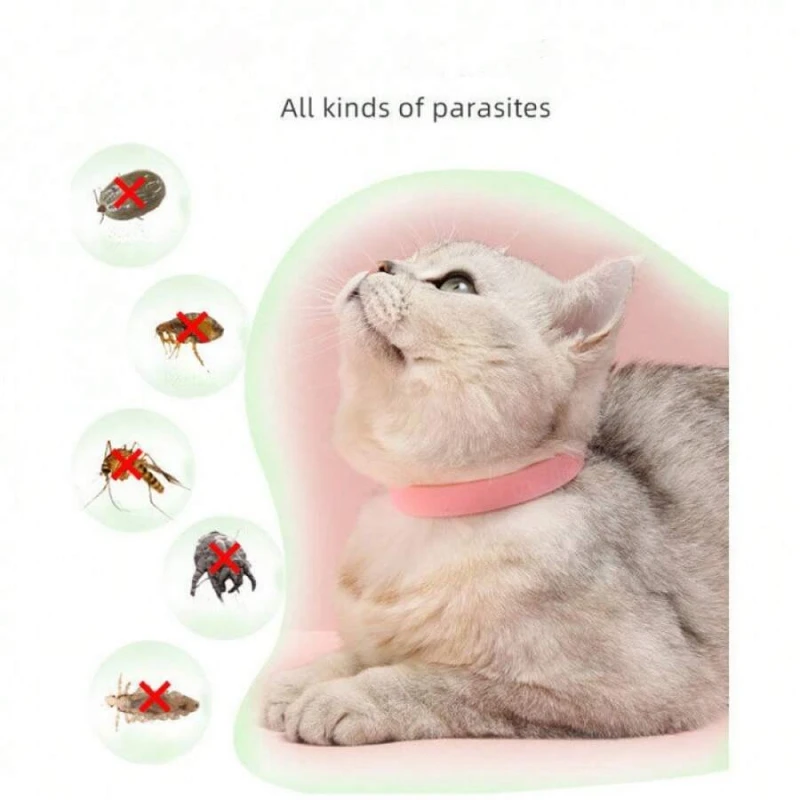 

1PCS Kangtai Pet Flea Collar - Mosquito Lice Repellent, Anti-Hate Smell, Dog Cat Stuff\Collares