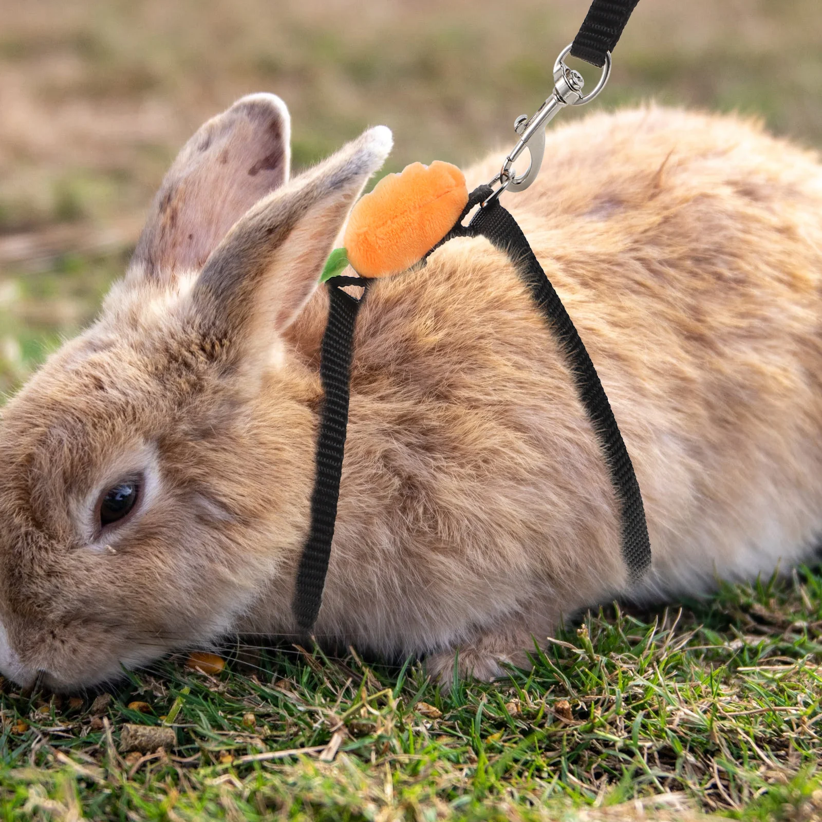 

Rabbit Leash Small Pet Traction Rope Hedgehog Squirrel Harness Cloth Hamster Escape Cat Outdoor Play Exercise Activities Durable