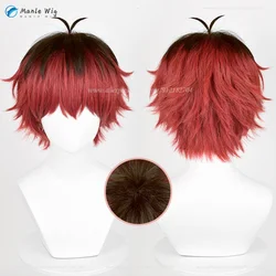 Stark Peluca de Cosplay de Anime Stark, corto pelo sintético resistente al calor de 30cm, accesorios para Halloween