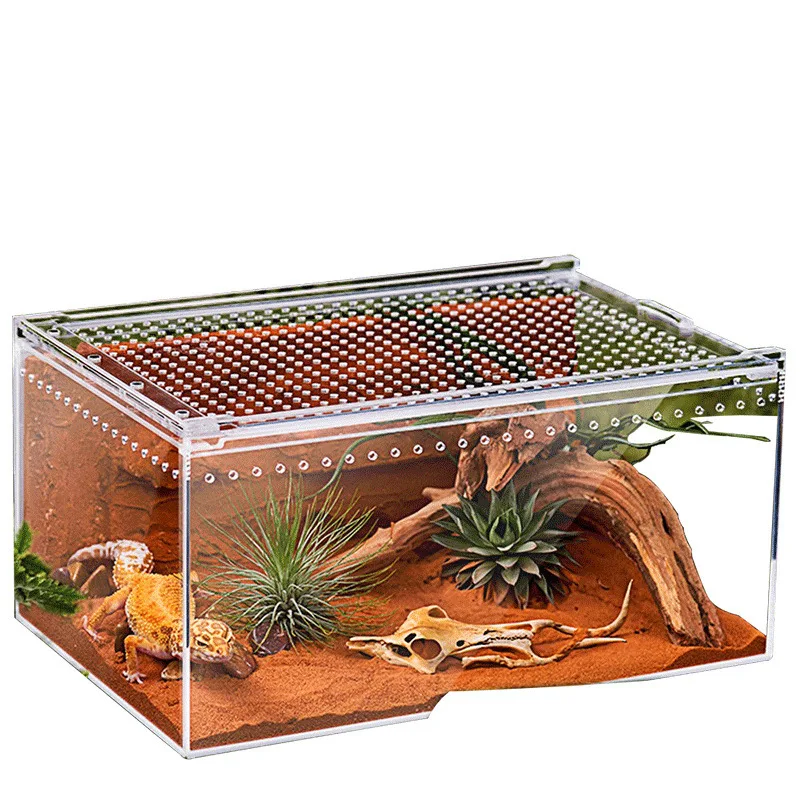 Acrylic Climbing Pet Tank High Definition Transparent Drop-resistant Lizard Snail Spider Scorpion Hermit Crab Ecological Box