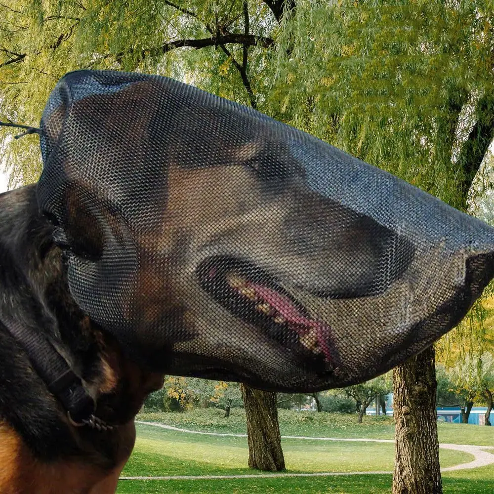 Máscara protectora de malla para perros, transpirable, picaduras de mosquitos, velo protector para mascotas, máscara de protección Facial ajustable para mascotas