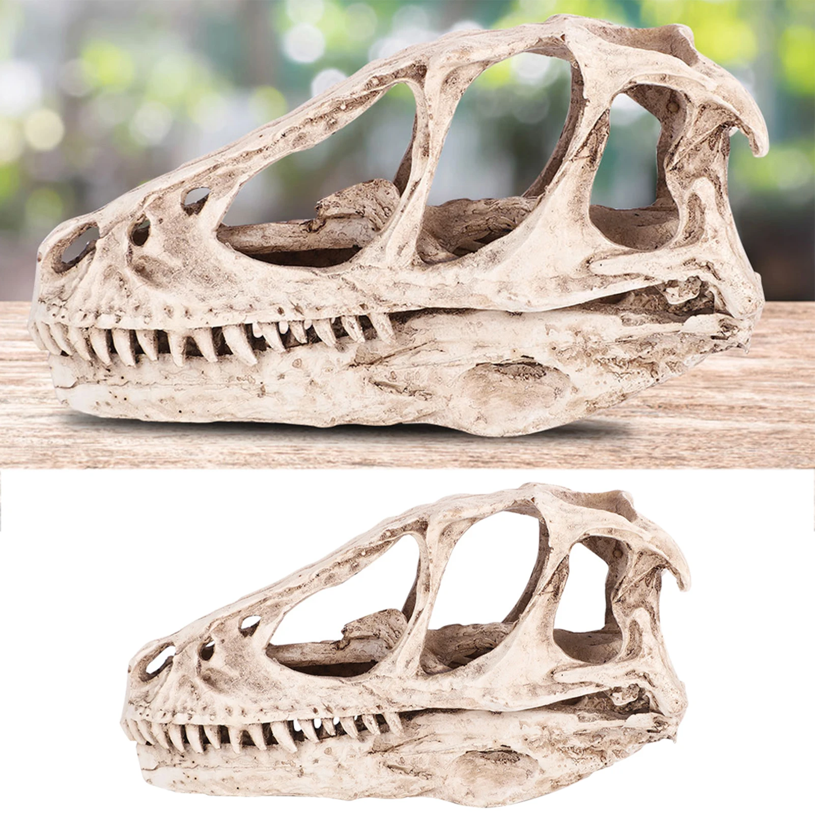 

Desktop Decor Resin Dinosaur Skull Model Simulated Animal Skeleton Home Office Decor Craft Teaching Prop Dinosaur Skull Model