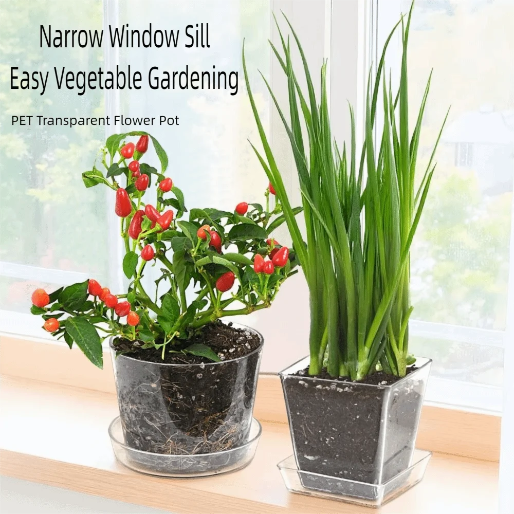 

Новые круглые/квадратные прозрачные детские горшки, прозрачные с дренажными отверстиями, пластиковый горшок для посадки