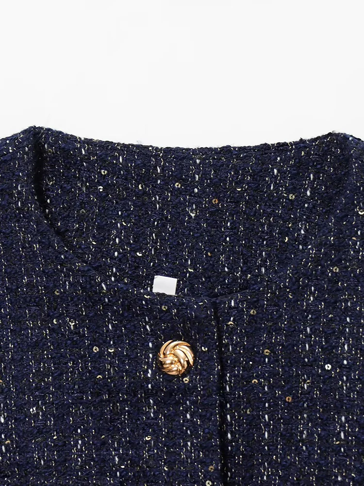 Veste à paillettes pour femmes, style européen et américain, nouveau tempérament décontracté, simple, col rond, manches longues, avec ceinture, automne