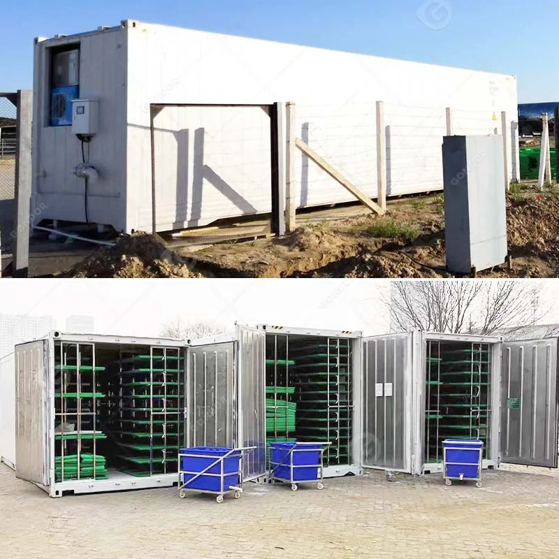 Fully Automatic Farm System Hydroponic Forage Mushroom Fodder Growing Grow Container Bean Sprout Farming Machine