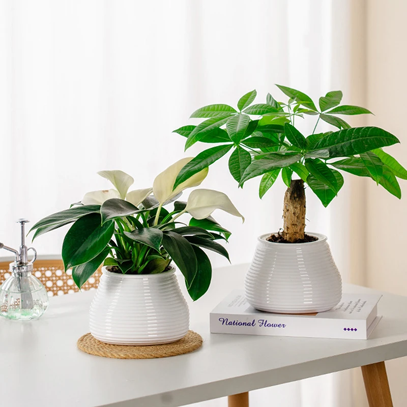 Цветочный-горшок-автоматический-водно-поглощающий-цветочный-горшок-двухслойный-пластиковый-саморегулирующийся-офисный-гидропонный-горшок